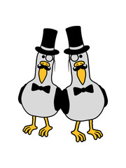 2 sir möwe gans meer tier klein frech niedlich süß