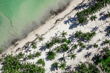 Aerial view of Punta Cana 