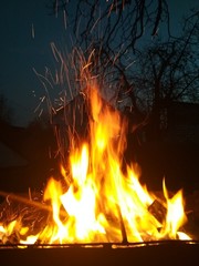 bonfire