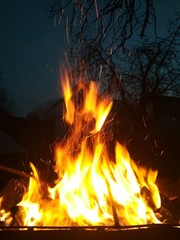 bonfire