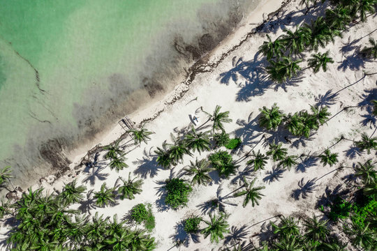 Aerial view of Punta Cana 