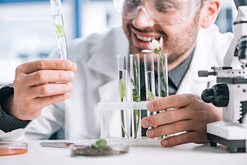 selective focus of happy biochemist looking a test tube with green plant near microscope
