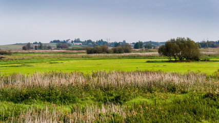 Narwiański Park Narodowy - Narwiańskie Bagna - Natura 2000, Narew, Podlasie, Polska © podlaski49