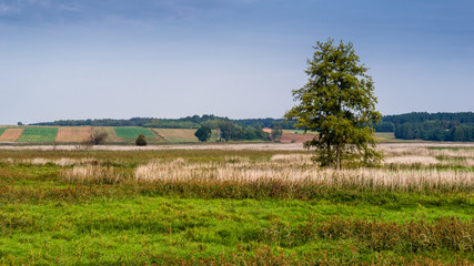 Narwiański Park Narodowy - Narwiańskie Bagna - Natura 2000, Narew, Podlasie, Polska © podlaski49
