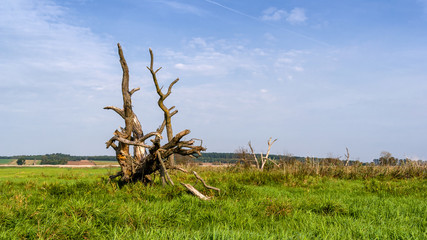 Narwiański Park Narodowy - Narwiańskie Bagna - Natura 2000, Narew, Podlasie, Polska © podlaski49