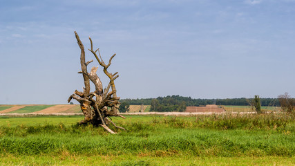 Narwiański Park Narodowy - Narwiańskie Bagna - Natura 2000, Narew, Podlasie, Polska © podlaski49