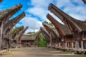 Tongkonan houses, traditional Torajan buildings, Tana Toraja, Sulawesi, Indonesia