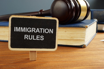 Writing note showing the text immigration rules