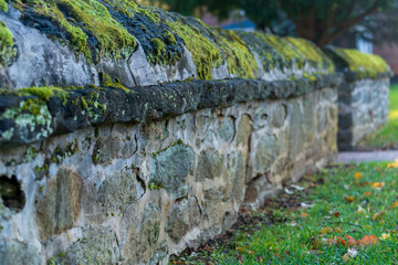 Stone wall with green moss