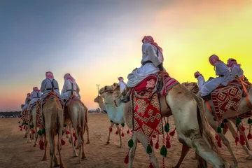 Poster Im Rahmen Desert  safari camel ride festival in Abqaiq Dammam Saudi Arabia © AFZALKHAN