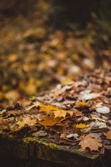 Brown-Herbstlaub auf einem Holztisch