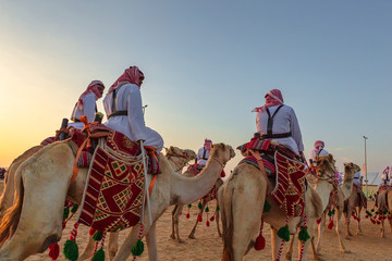 Desert  safari camel ride festival in Abqaiq Dammam Saudi Arabia. - obrazy, fototapety, plakaty