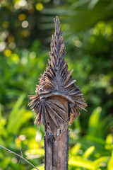 Beautiful Countryside trip in tropical rural district, Siem Reap, Cambodia