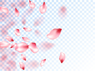 Pink sakura petals falling vector graphics.
