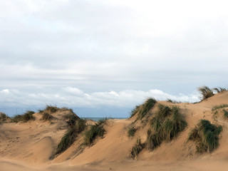 Fototapeta premium tylösand, tylösand beach sweden, halland, halmstad