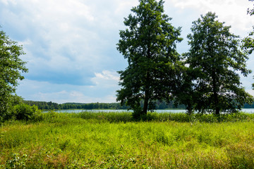 Drzewa jezioro w lesie na kaszubach - obrazy, fototapety, plakaty
