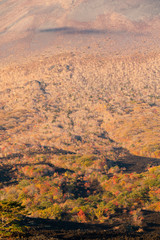 岩手県八幡平　焼走り溶岩流と岩手山の山肌の紅葉景色