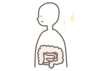 人体の腸