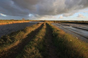 Batz sur Mer - marais salants - Loire-Atantique