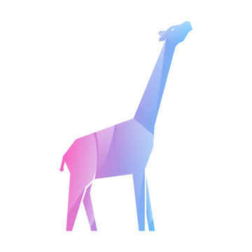 Pink and blue multi-colored gradient giraffe isolated on white background, vector illustration