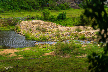 Nature, river in the middle of the forest in Thailand
