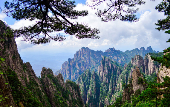 Huangshan (Yellow Mountain) Cliffs and Huangshan Pine. Located at Anhui province China, Huangshan is a UNESCO World heritage site and one of China's major tourist destinations.