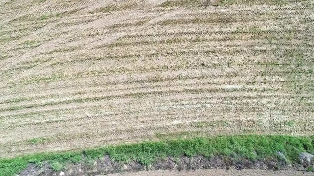 Zenith farms, trees and roads in Canyamars, Catalonia, Spain