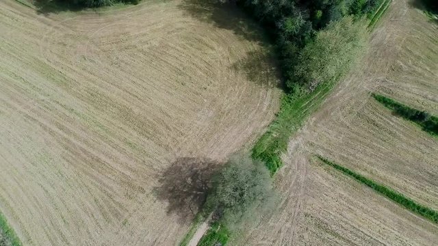 From the road fields to the forest in Canyamars, Catalonia, Sapin