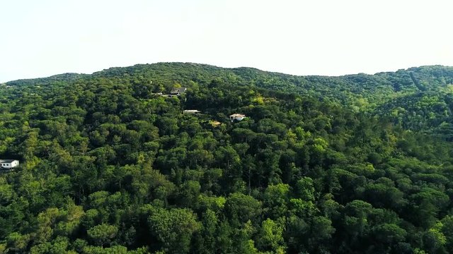 Over the forest in Canyamars, Catalonia, Sapin