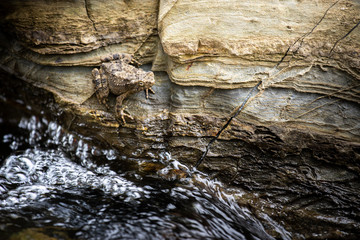The rocks with beautiful patterns set in the river flowing through.