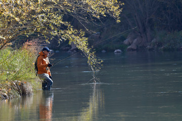 fly fisherman in river in autumn