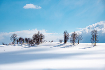 雪影の美瑛