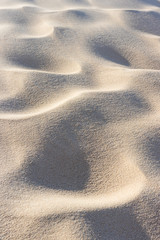 Sand und Dünenlandschaft auf Sylt - 305440835