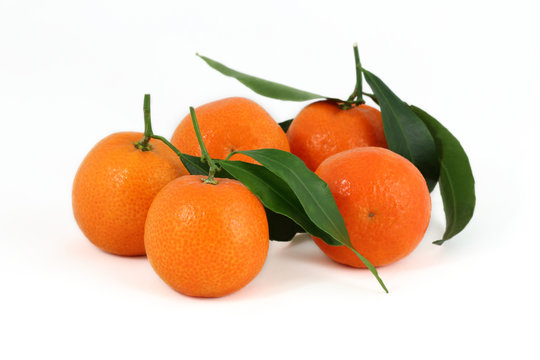 Group of five clementines with leaves isolated on white background.