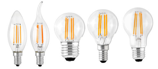 set of LED filament bulbs isolated classic types - obrazy, fototapety, plakaty