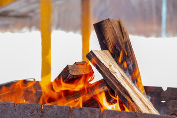 In the grill burning wood. Preparing coals for barbecue.