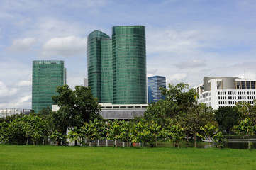 Obraz premium ิbangkok park