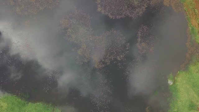 Aerial view of natural pond surrounded by trees in Fanal, Madeira island, Portugal