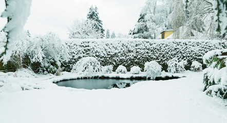 Winter garden, trees covered with snow, kingdom of winter in home garden.