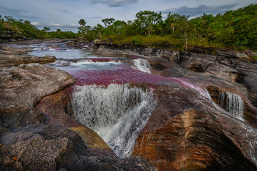 The rainbow river or five colors river is in Colombia one of the most beautiful nature places, is called Crystal Canyon