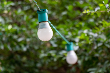 Fio com lampadas no jardim