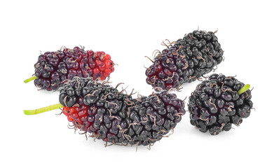 Mulberry fruit isolated on white background.