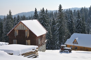 Wooden houses on a background of snowy forest