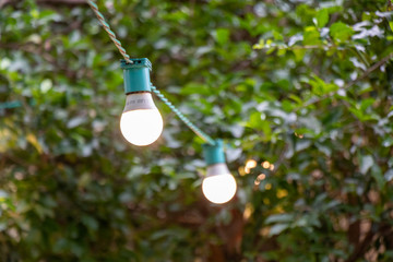 Fio com lampadas no jardim