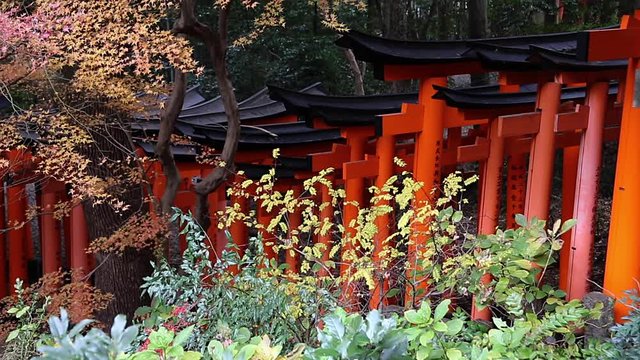 Fushimi Inari Taisha religious center in Kyoto, Japan