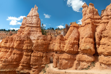 Fototapeta premium Hiking trail and Hoodoo's in the Bryce Canyon, Utah
