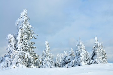 View from the top of the mountain