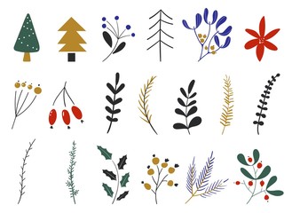 Vector set of flowers and leaves, christmas plants. Hand drawn design elements. New year collection with seasonal elements. Winter icons.