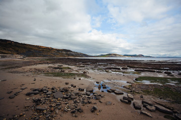 landscape of a beach 
