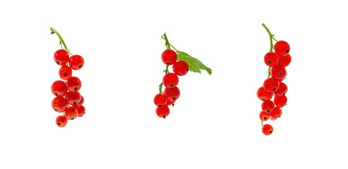 Sprigs of red currants cut with no background. Clusters of red berries